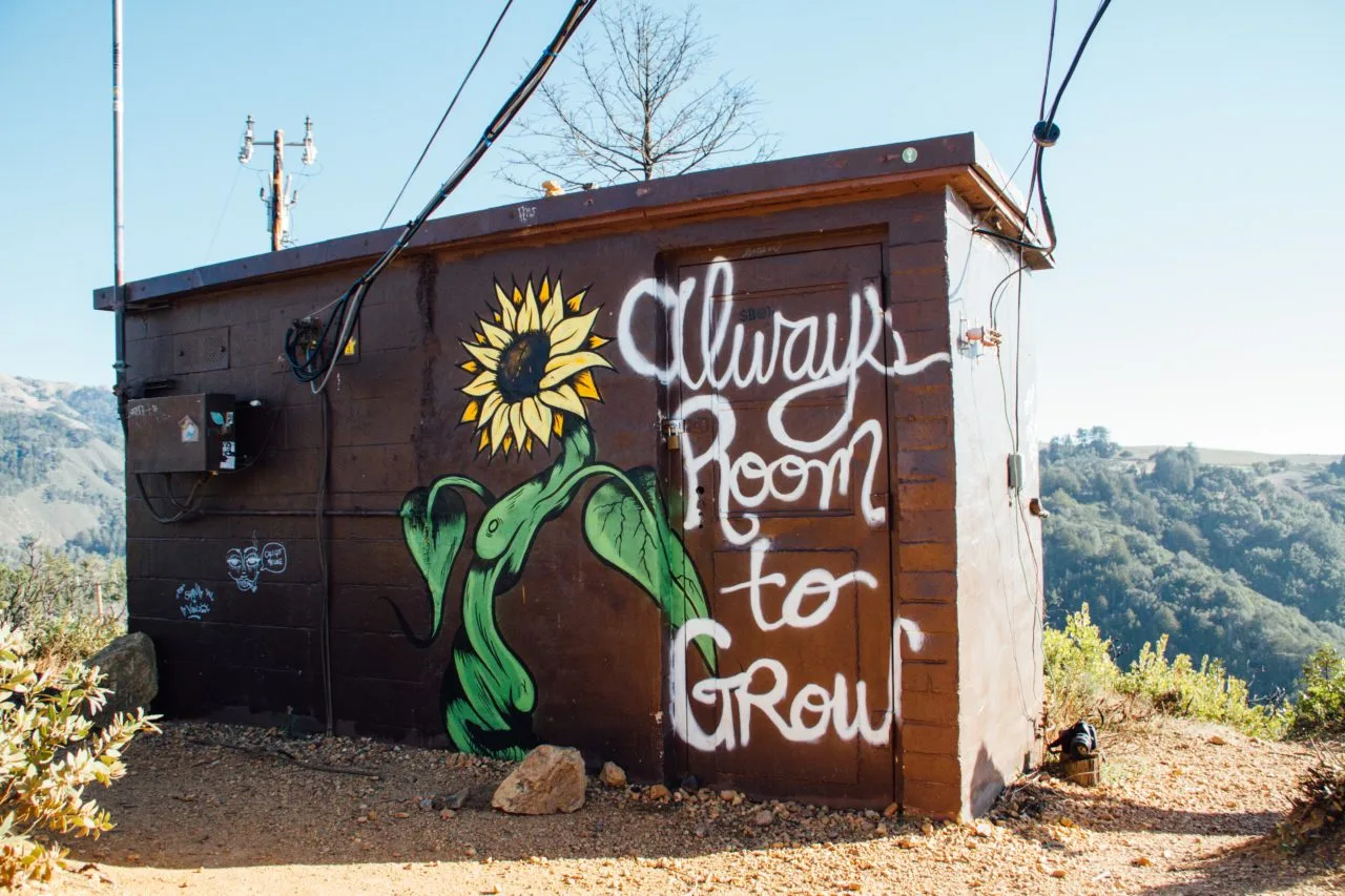 A hillside shed painted with a sunflower mural and the words &ldquo;Always room to grow.&rdquo;