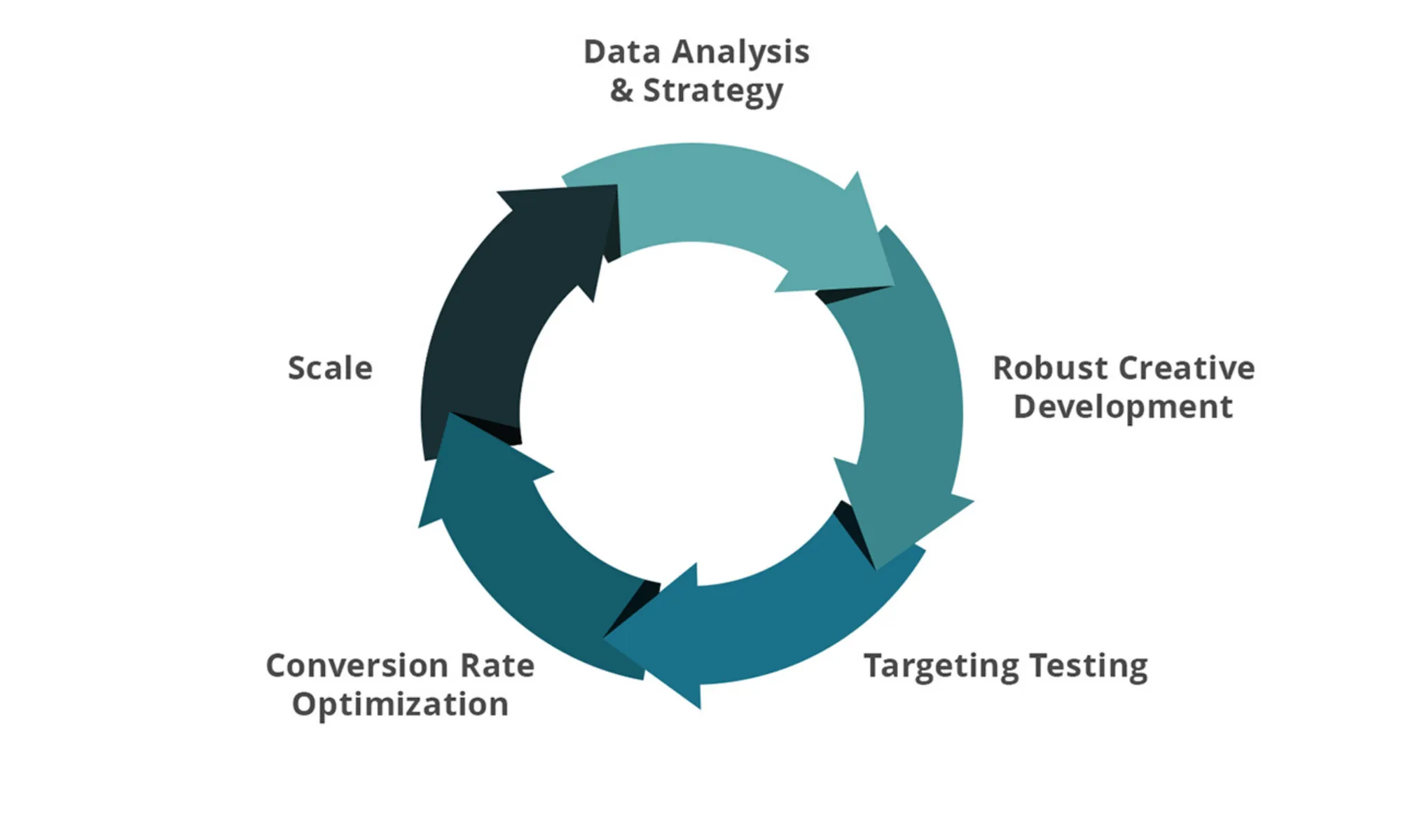 A ring of five curved arrows in shades of teal, labeled clockwise from the top: Data Analysis & Strategy, Robust Creative Development, Targeting Testing, Conversion Rate Optimization, Scale.